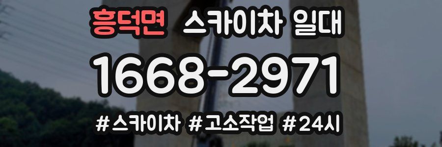 흥덕면 스카이차 일대