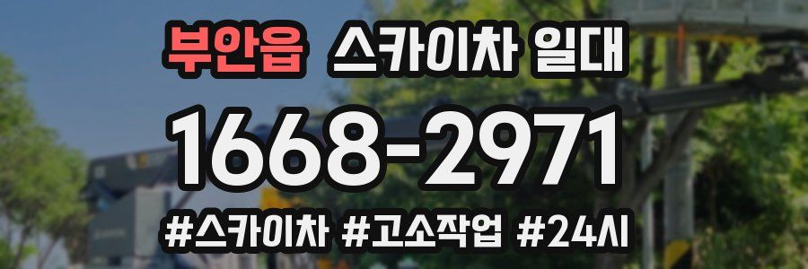 부안읍 스카이차 일대