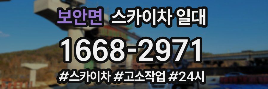 보안면 스카이차 일대