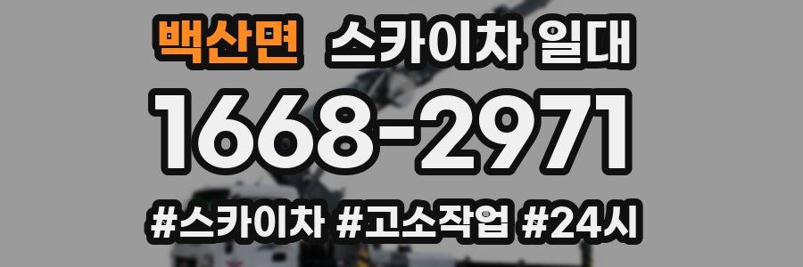 백산면 스카이차 일대