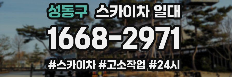 성동구 스카이차 일대