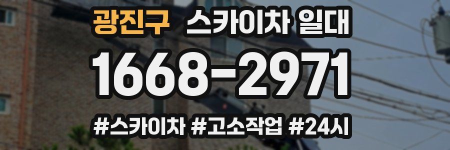 광진구 스카이차 일대