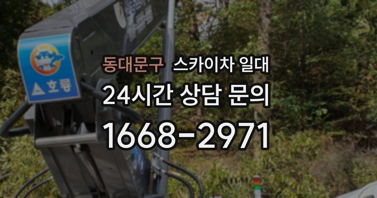 동대문구 스카이차 일대