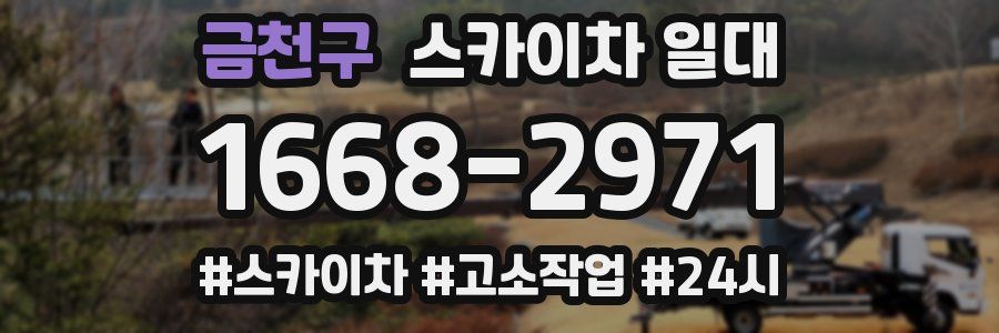 금천구 스카이차 일대