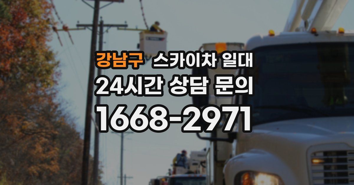 강남구 스카이차 일대