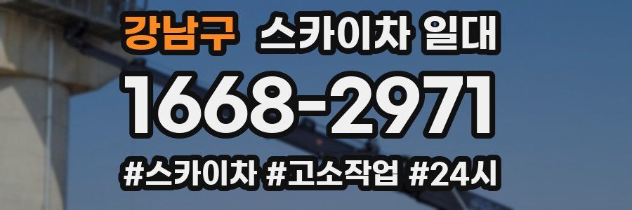 강남구 스카이차 일대