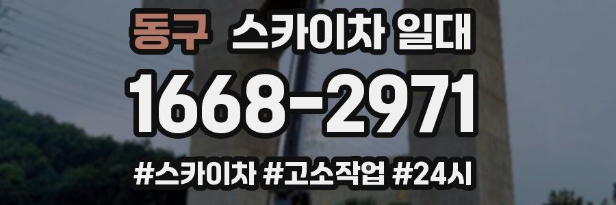 동구 스카이차 일대