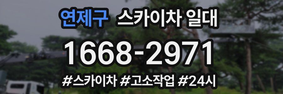 연제구 스카이차 일대