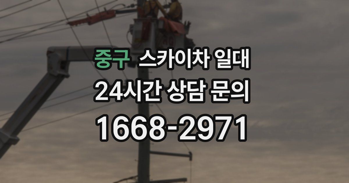중구 스카이차 일대