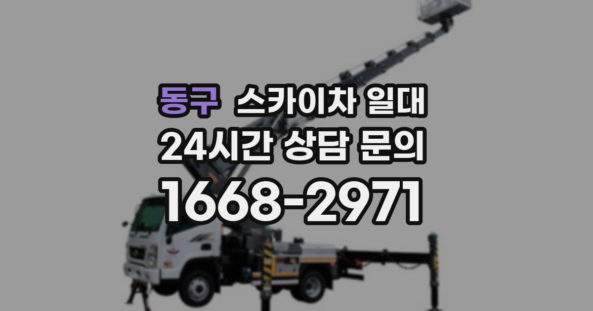 동구 스카이차 일대