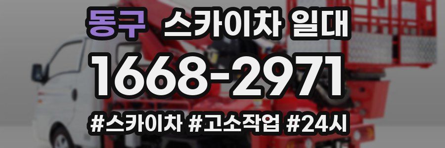 동구 스카이차 일대