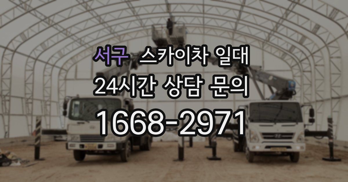서구 스카이차 일대