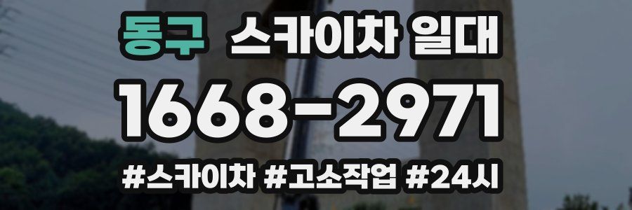 동구 스카이차 일대