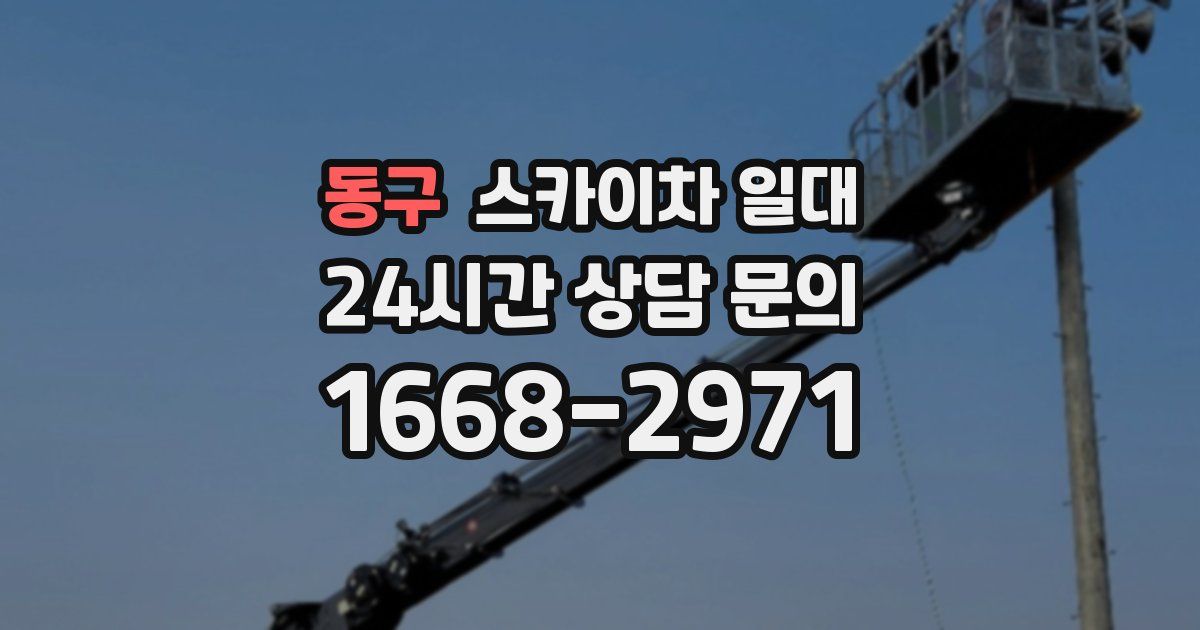 동구 스카이차 일대