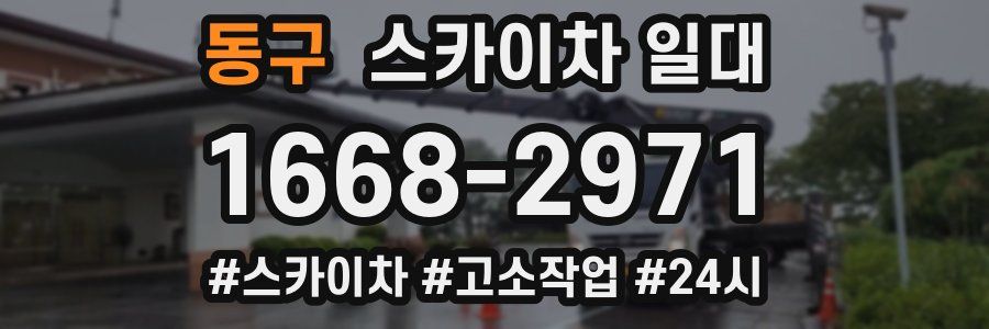 동구 스카이차 일대