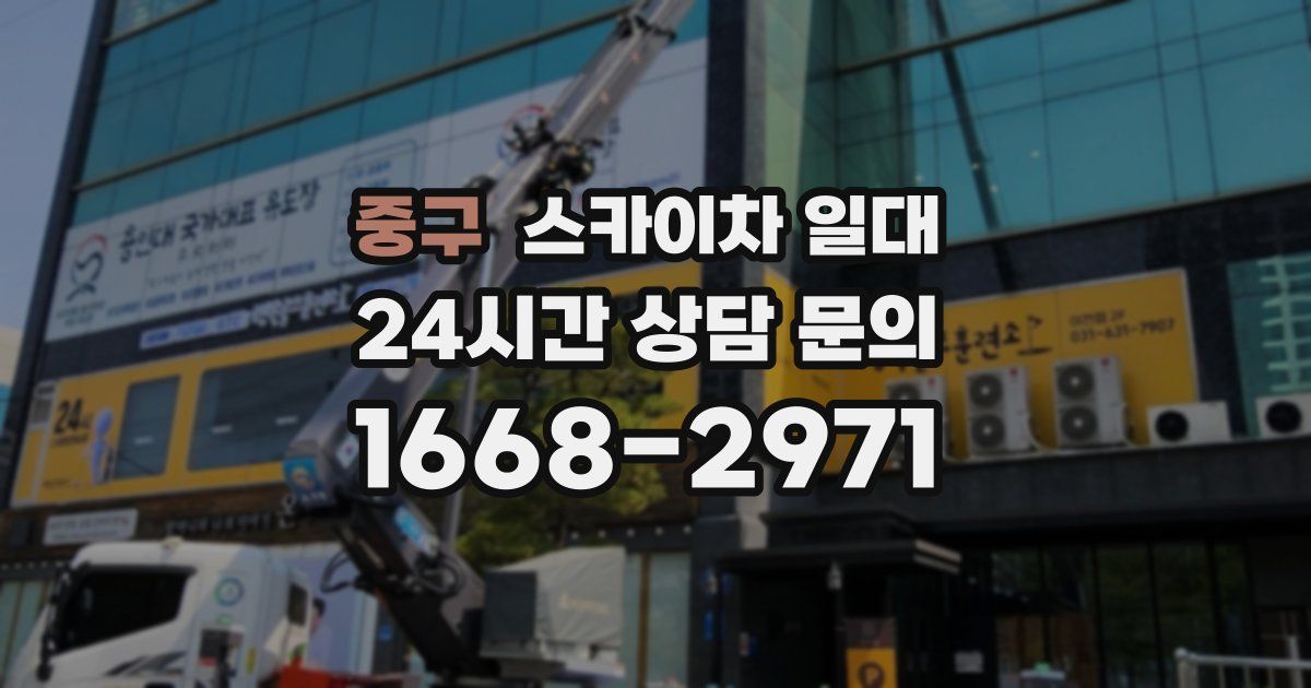 중구 스카이차 일대