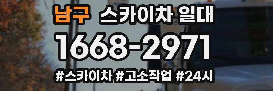 남구 스카이차 일대