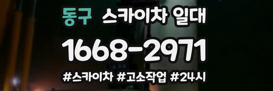 동구 스카이차 일대