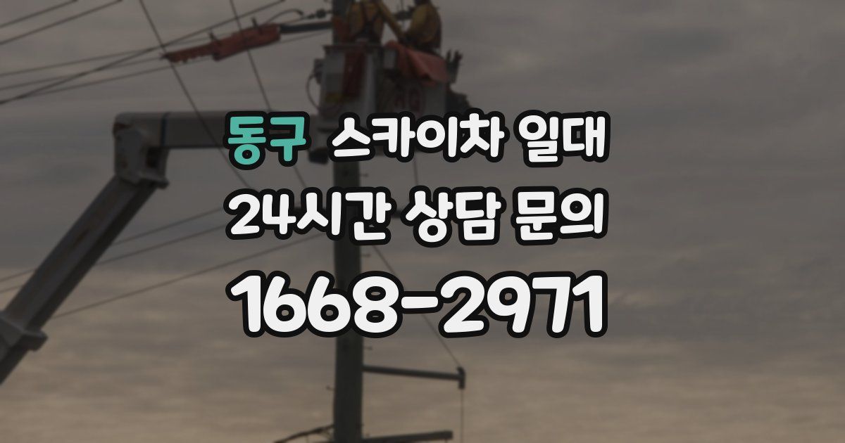 동구 스카이차 일대