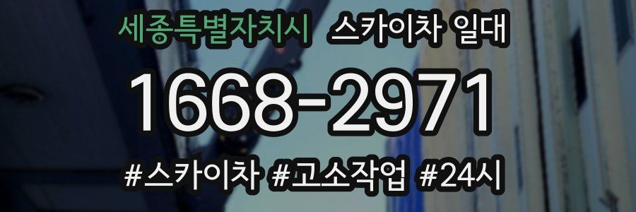 세종특별자치시 스카이차 일대