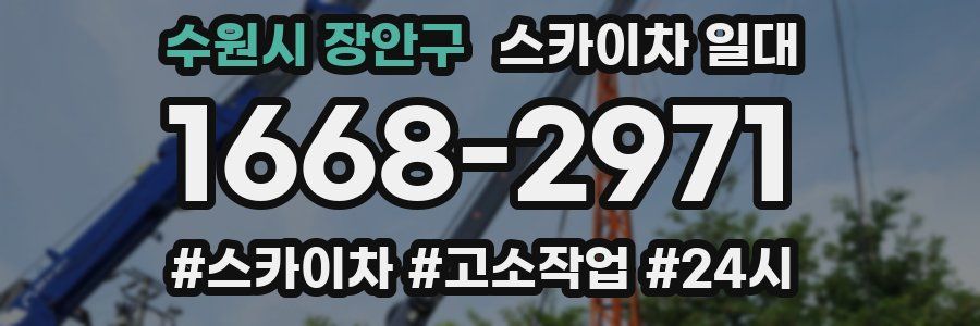 수원시 장안구 스카이차 일대