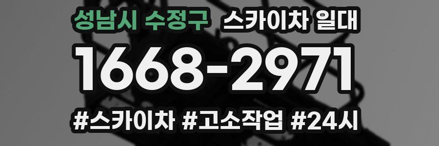 성남시 수정구 스카이차 일대