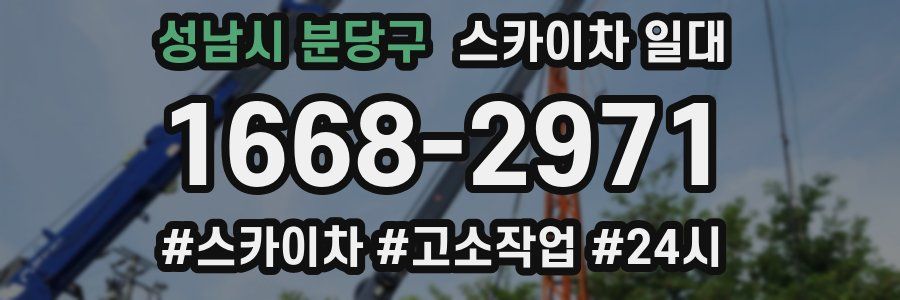 성남시 분당구 스카이차 일대
