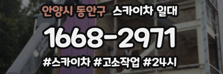 안양시 동안구 스카이차 일대