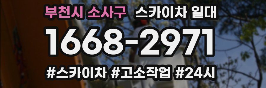 부천시 소사구 스카이차 일대