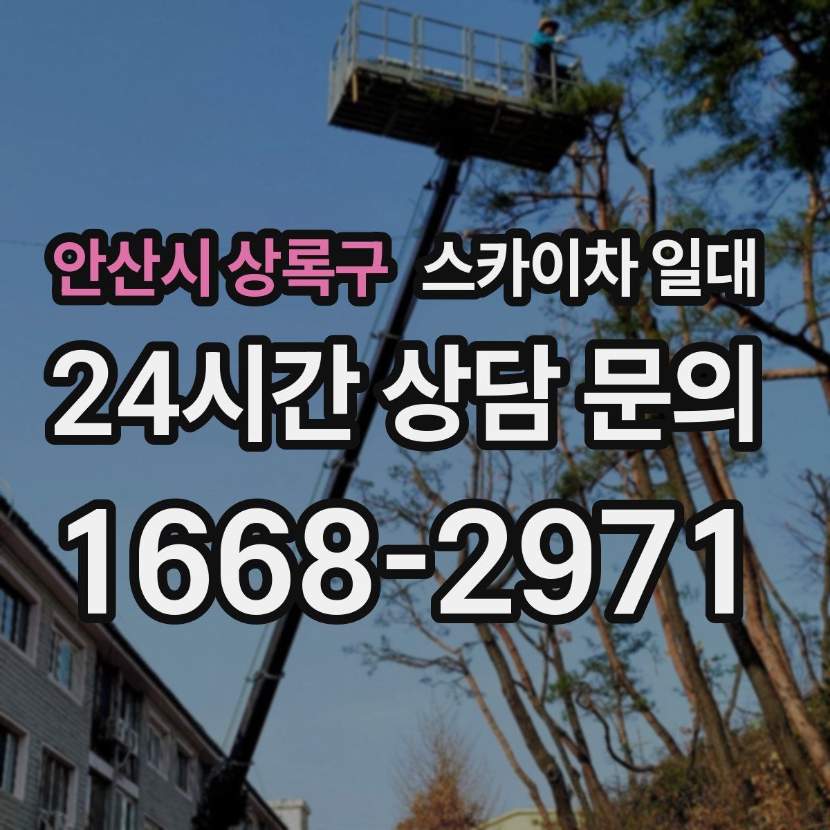 안산시 상록구 스카이차 일대