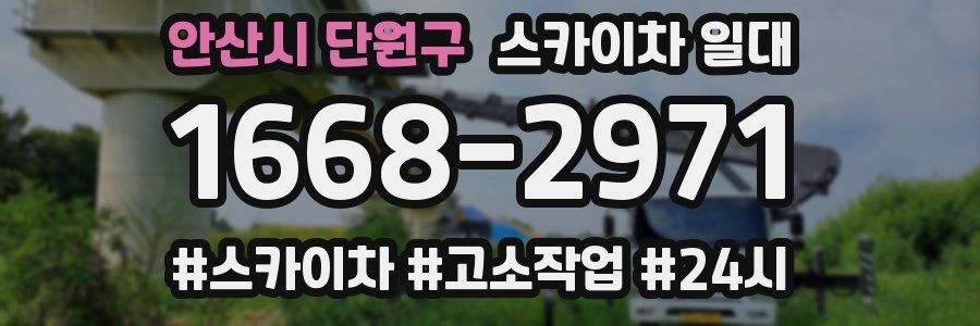 안산시 단원구 스카이차 일대
