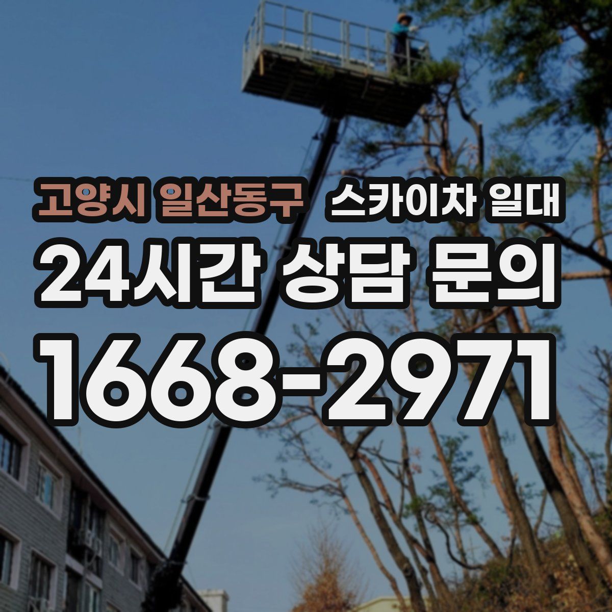 고양시 일산동구 스카이차 일대