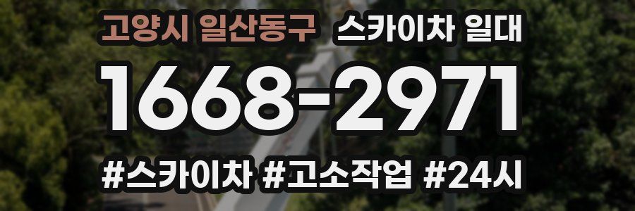 고양시 일산동구 스카이차 일대