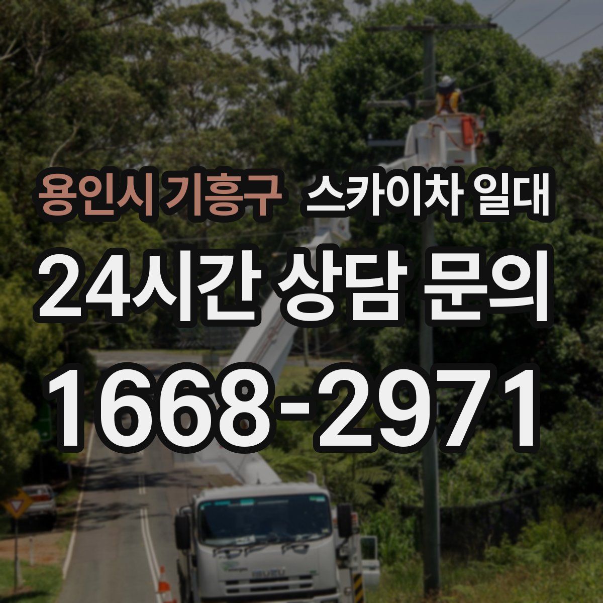 용인시 기흥구 스카이차 일대