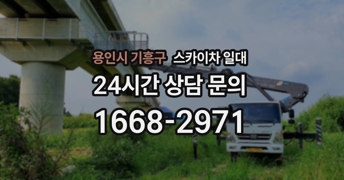 용인시 기흥구 스카이차 일대