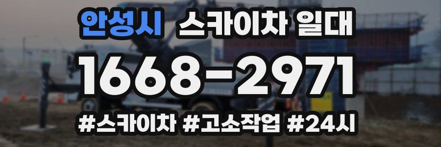 안성시 스카이차 일대