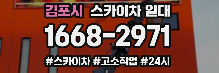 김포시 스카이차 일대