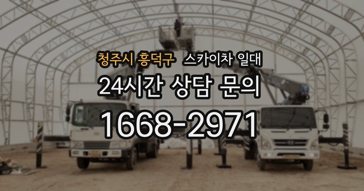 청주시 흥덕구 스카이차 일대