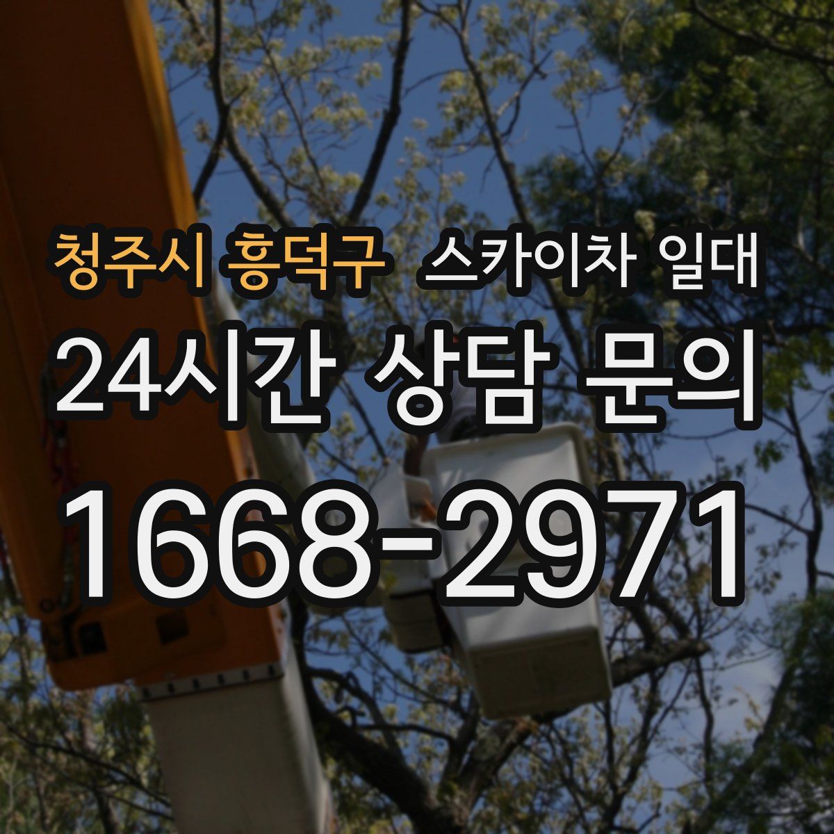청주시 흥덕구 스카이차 일대