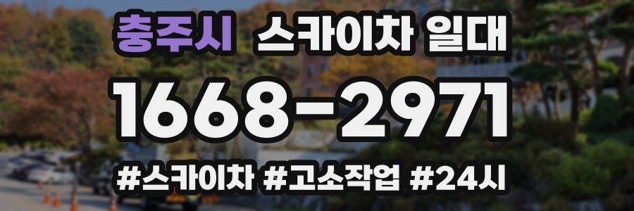 충주시 스카이차 일대