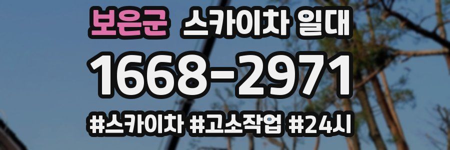 보은군 스카이차 일대