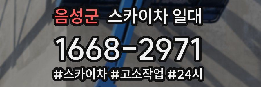 음성군 스카이차 일대