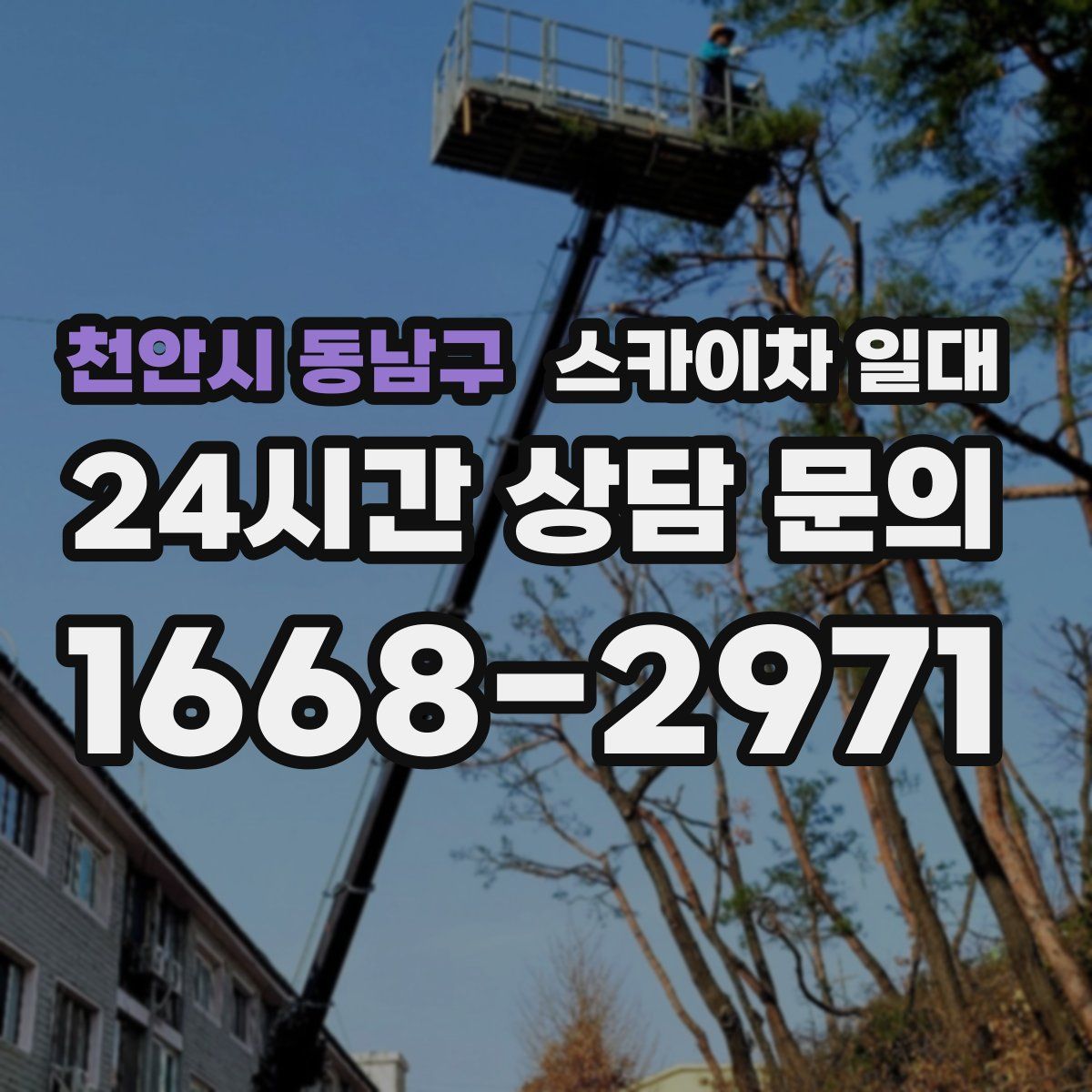 천안시 동남구 스카이차 일대