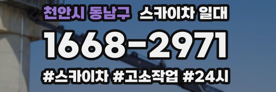 천안시 동남구 스카이차 일대