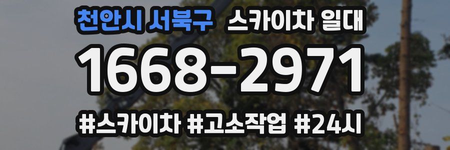 천안시 서북구 스카이차 일대