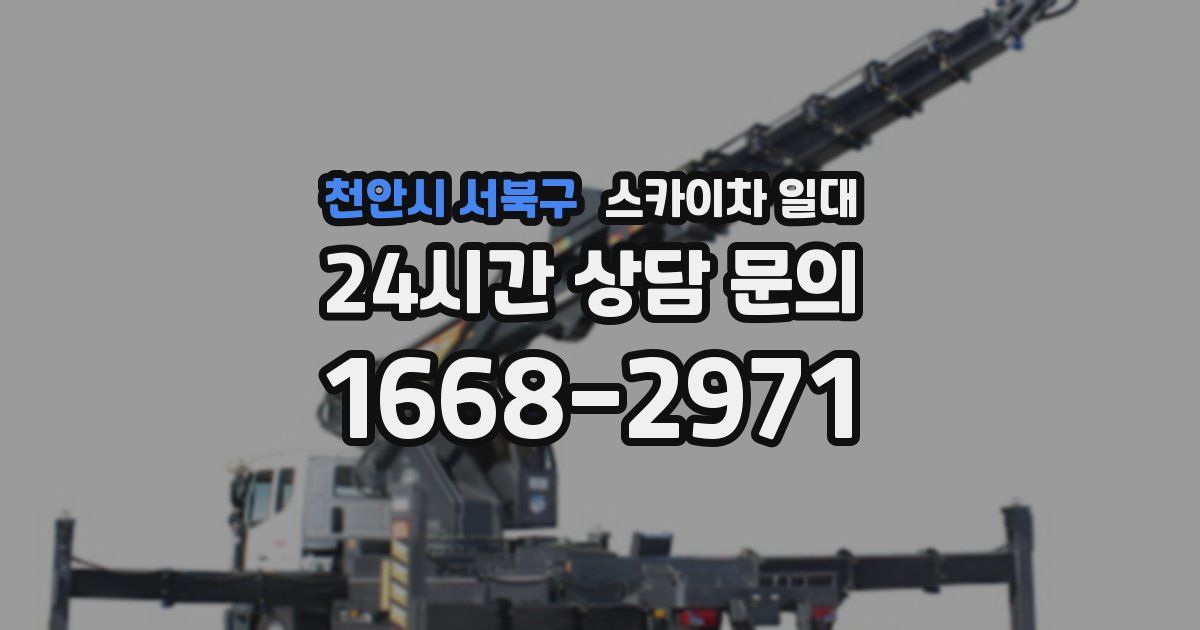 천안시 서북구 스카이차 일대