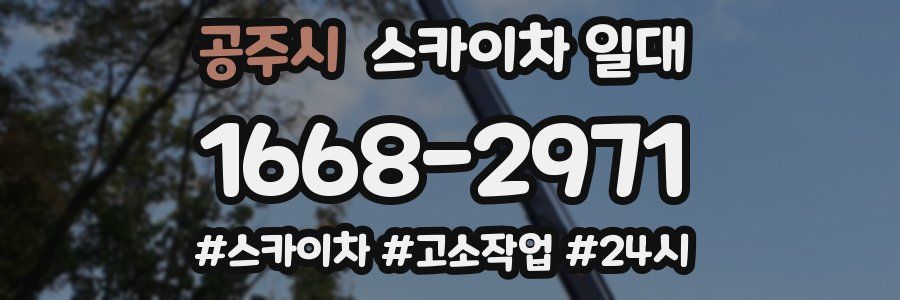 공주시 스카이차 일대