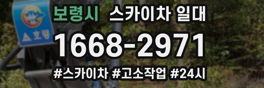 보령시 스카이차 일대