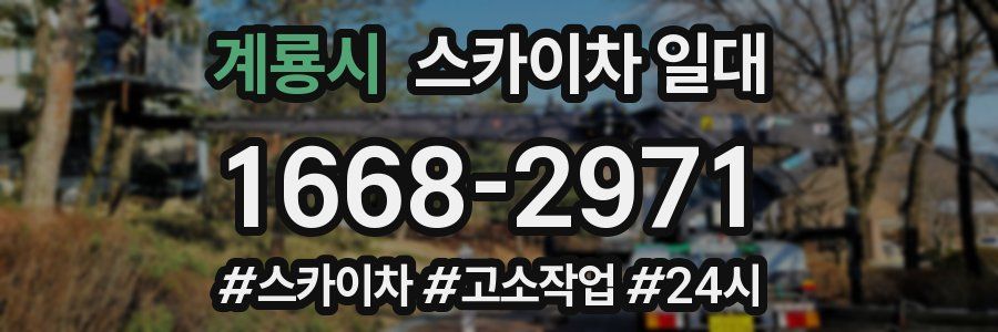 계룡시 스카이차 일대