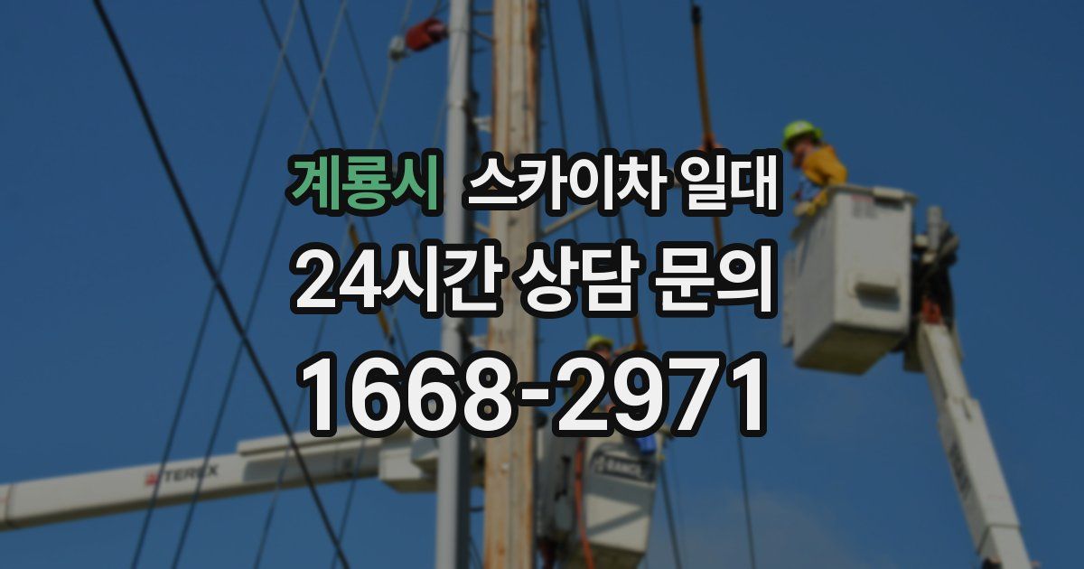계룡시 스카이차 일대